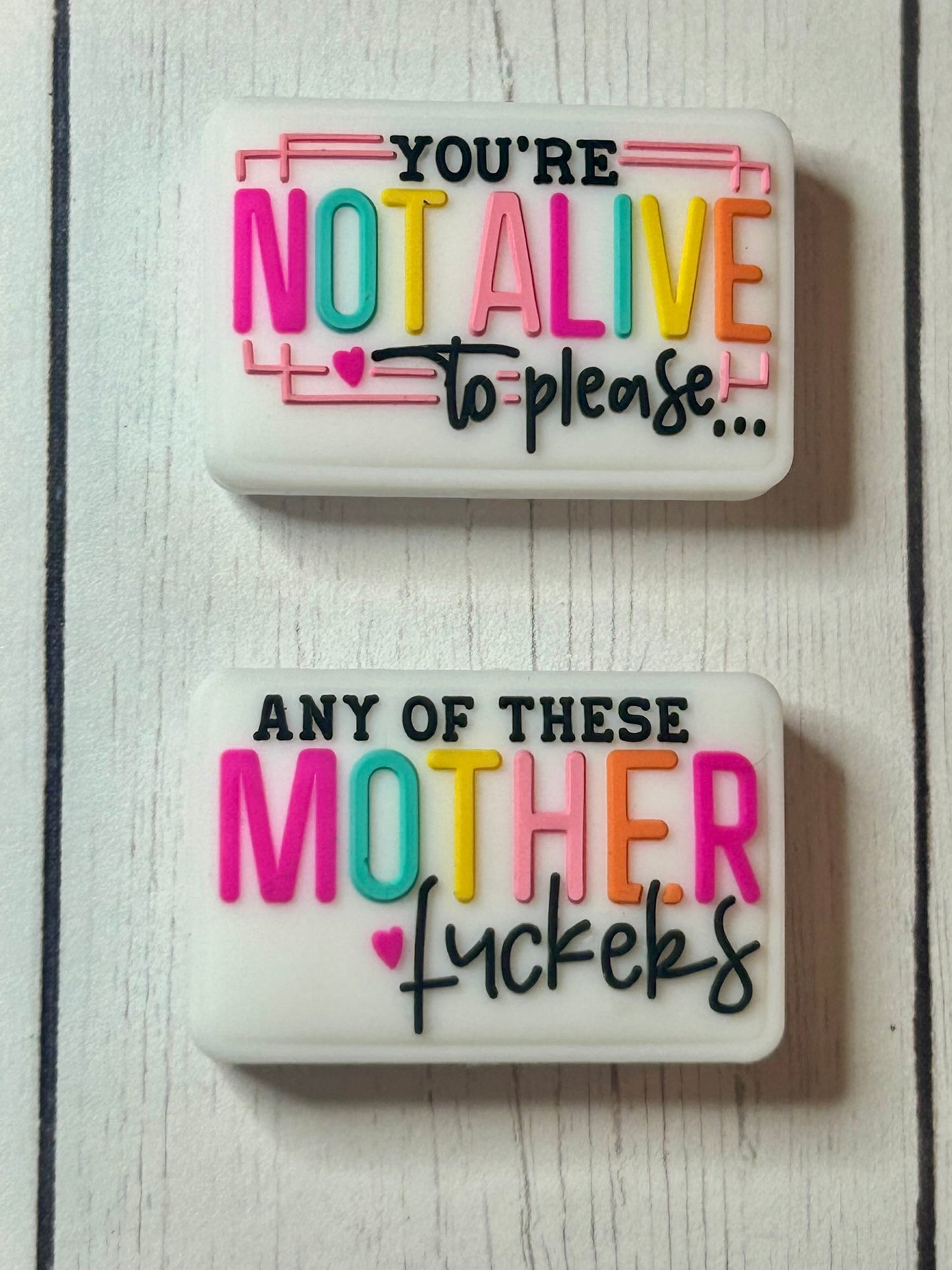 "You're Not Alive To Please... Any Of These Mother Fuckers" Focal Bead