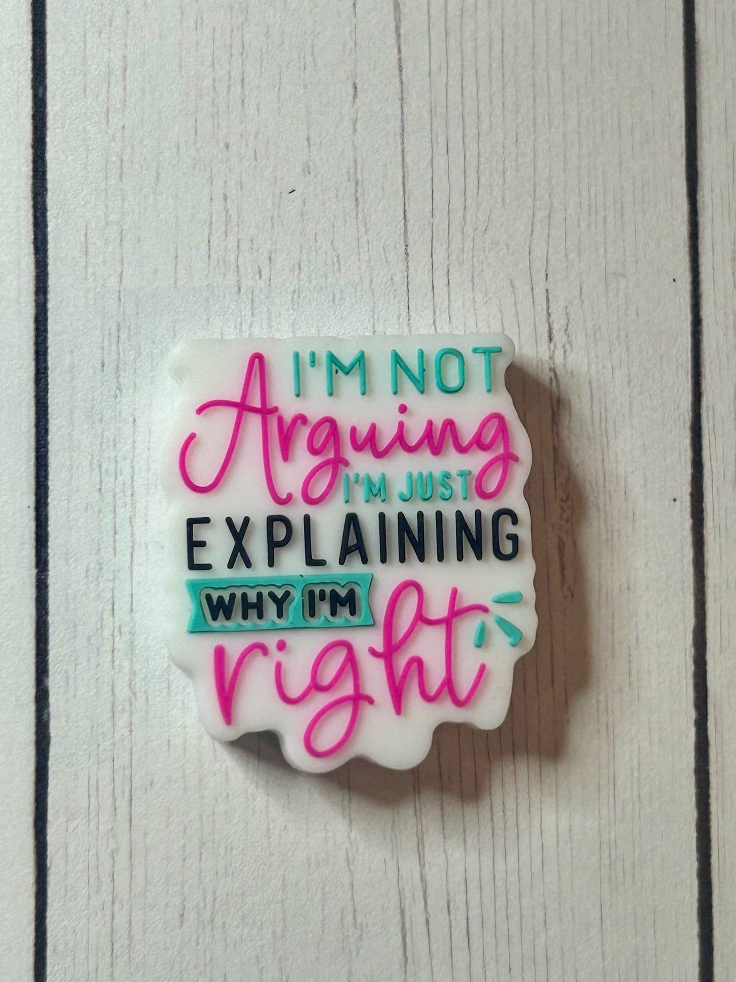 "I'm Not Arguing, I'm Just Explaining Why I'm Right" Focal Bead