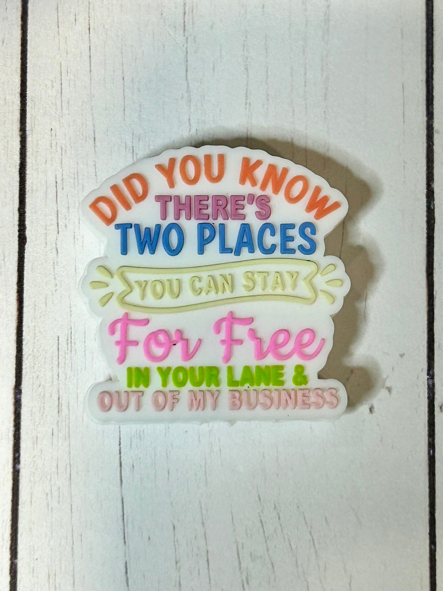 "Did You Know There's Two Places You Can Stay For Free, In Your Lane & Out of My Business" Focal Bead