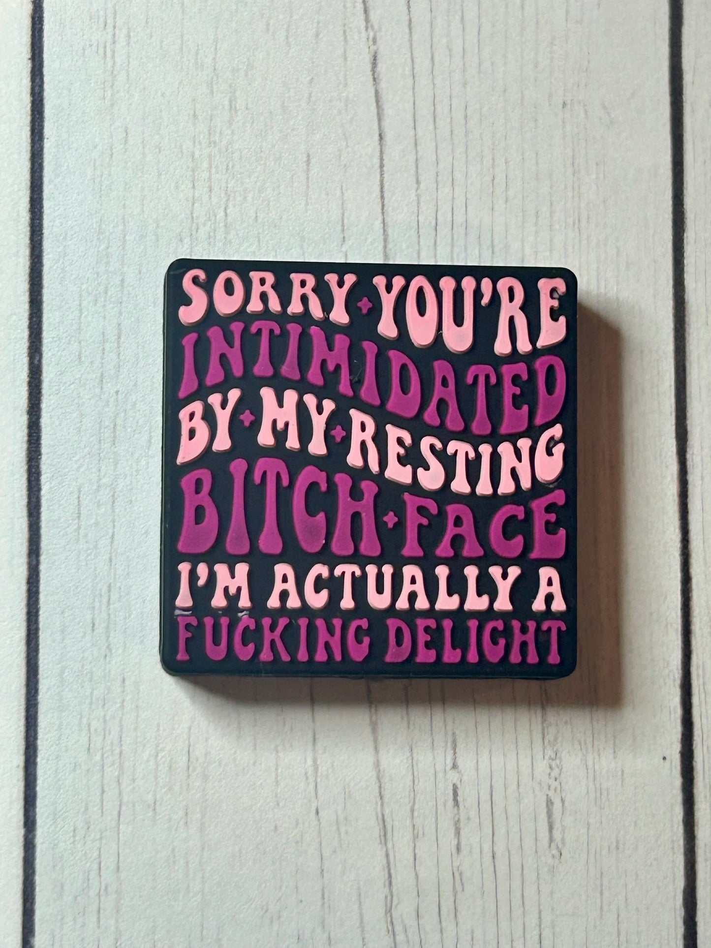 "Sorry You're Intimidated By My Resting Bitch Face, I'm Actually A Fucking Delight" Focal Bead