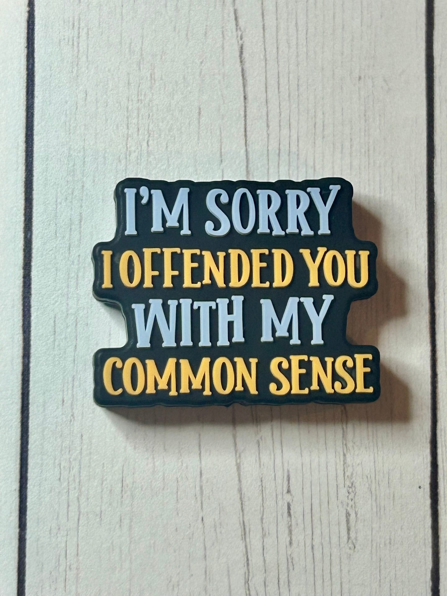 "I'm Sorry I Offended You With My Common Sense" Focal Bead