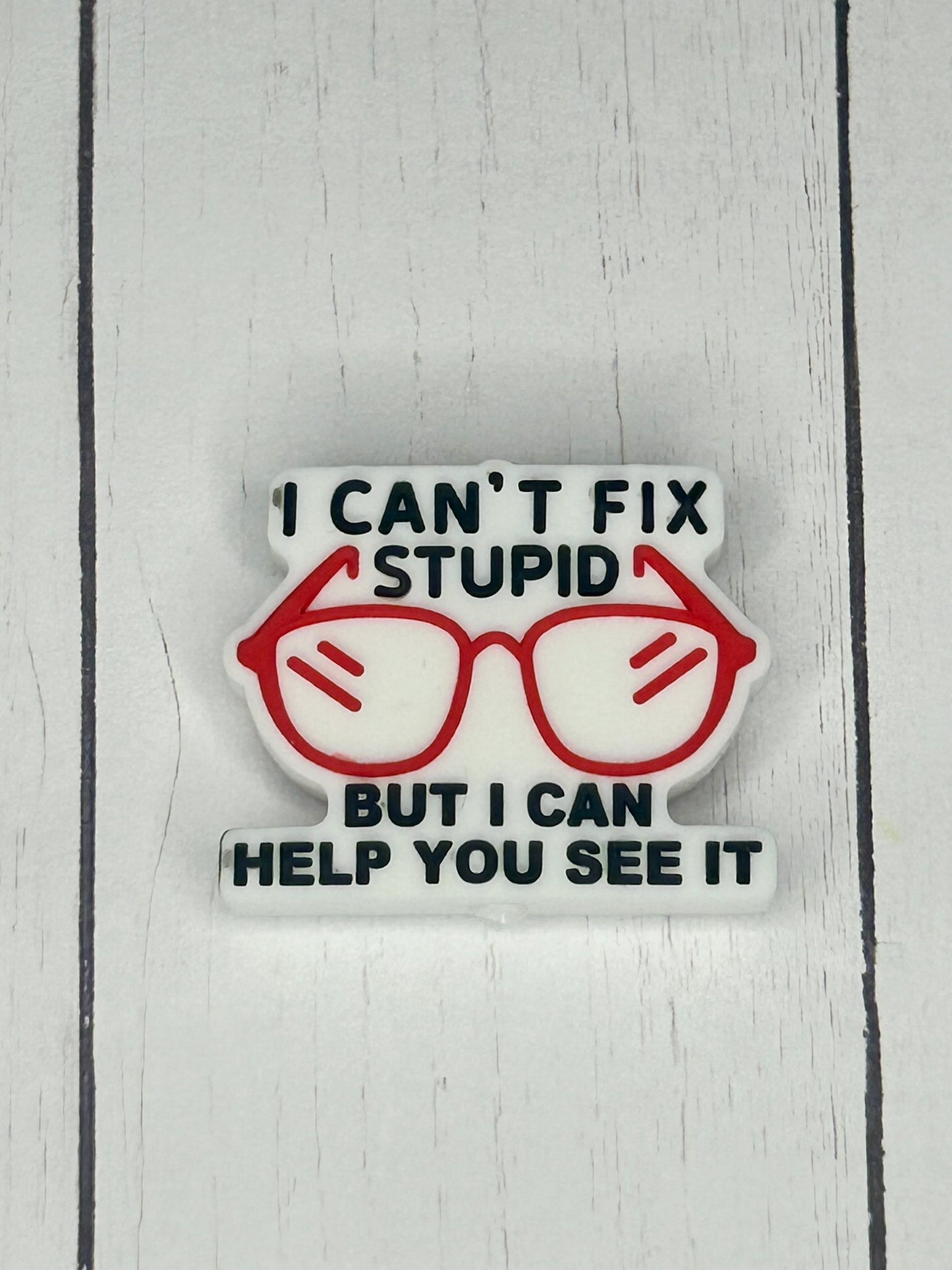 "I Can't Fix Stupid, But I Can Help You See It" Focal Bead