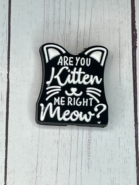 "Are You Kitten Me Right Meow?" Focal Bead