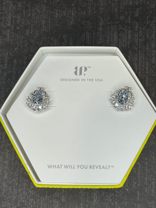 RBP4966 - The Igna Earrings