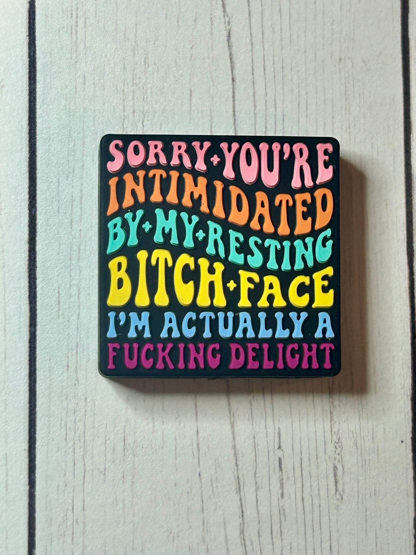 "Sorry You're Intimidated By My Resting Bitch Face, I'm Actually A Fucking Delight" Focal Bead