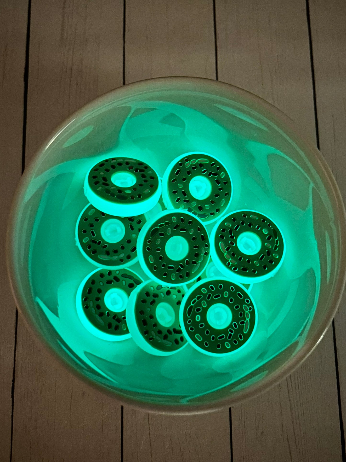 Green Donut Glow Focal Bead